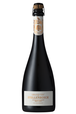 Grandvindestellenboschmccbrut2020202206210005