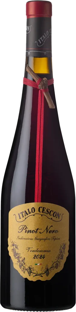 Pinot nero 20250606_cescon bottiglie1503 252x1024