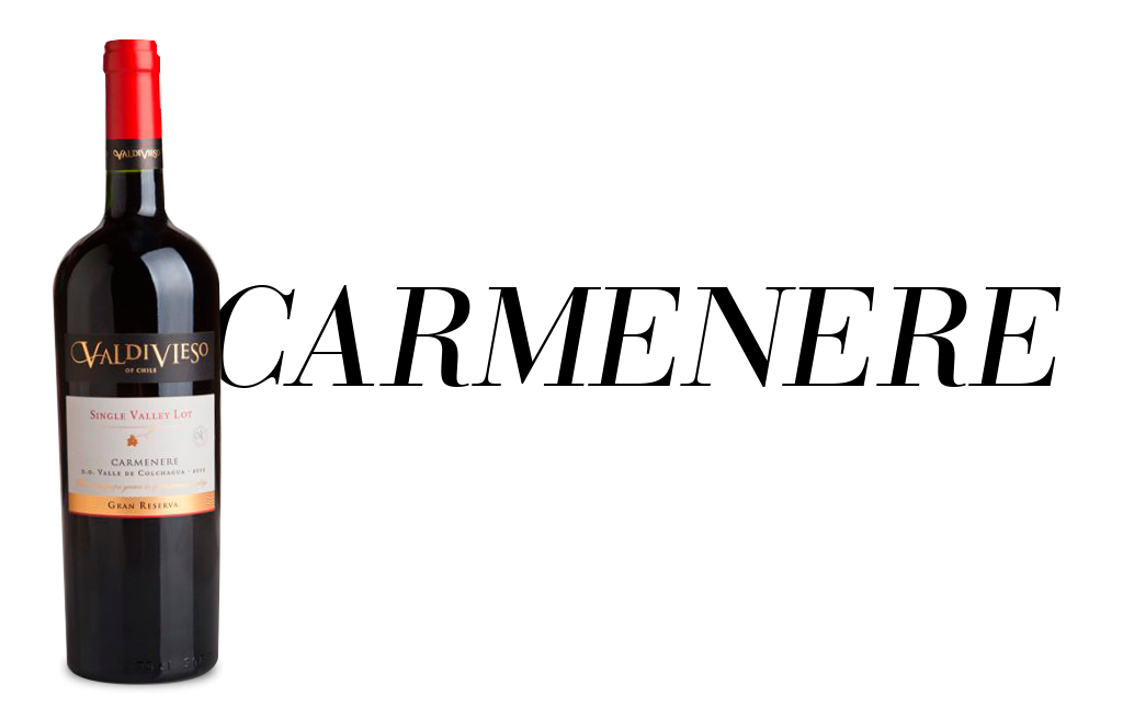 Valdivieso single vineyard carmenere 2018