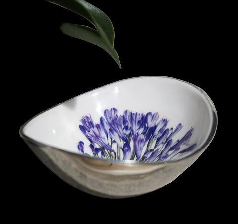 Agapanthus Oval Small 14cm