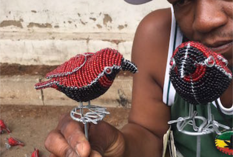 BOA Birds on Wire