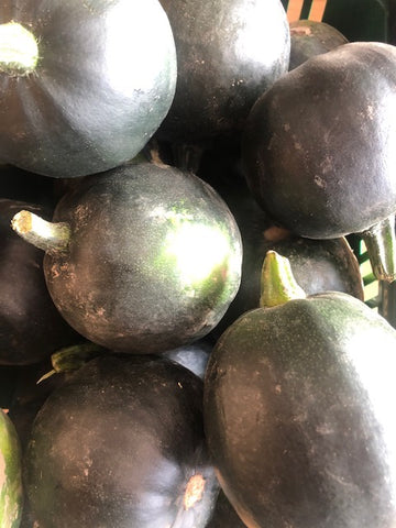 Gem Squash per kg